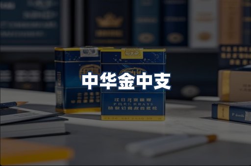 中华金中支